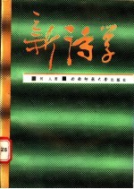 新诗学