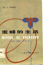 蜜蜂的生活