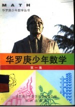 华罗庚少年数学丛书 第1集