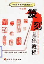 中国书画艺术电视教学片·书法篇 篆刻基础教程