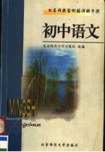 名师典型例题详解手册 初中语文