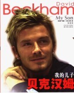 贝克汉姆 我的儿子
