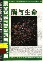 酶与生命