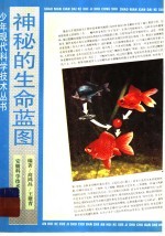 神秘的生命蓝图