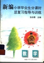 新编小学毕业生分课时总复习指导与训练 数学