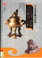 文玩收藏与投资 豪华典藏彩图版 青铜器 2