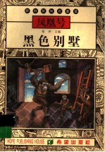 黑色别墅