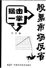 猛击一掌 股票市场反省
