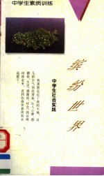 缤纷世界：中学生社会实践