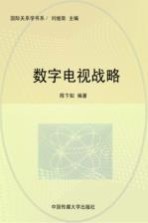 数字电视战略:商业挑战与机遇