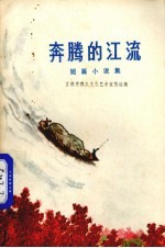 奔腾的江流 短篇小说集