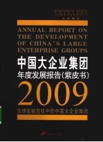 中国大企业集团年度发展报告 紫皮书 2009