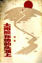 太阳照在她的头顶上 诗集