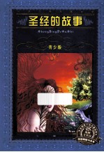 圣经的故事 青少版