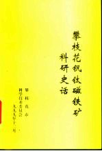 攀枝花钒钛磁铁矿 科研史话