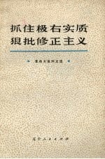 抓住极右实质 狠批修正主义