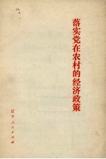 落实党在农村的经济政策