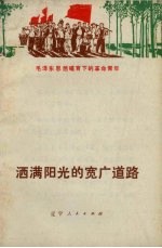 洒满阳光的宽广道路