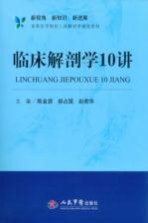 临床解剖学10讲