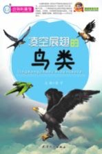 凌空展翅的鸟类