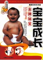 宝宝成长金牌秘笈 精美彩图双色版