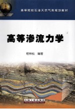 高等渗流力学