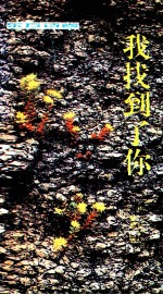 东方诗卷 我找到了你