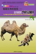 触碰生存的底线 谈沙漠中的气候与动植物