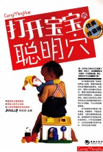 打开宝宝的聪明穴 经典珍藏版