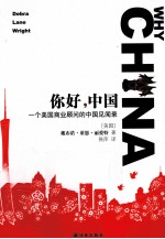 你好,中国 一个美国商业顾问的中国见闻录