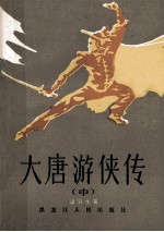 大唐游侠传 中