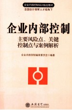企业内部控制 主要风险点、关键控制点与案例解析