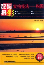 数码摄影实拍技法 构图