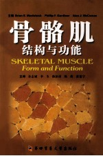 骨骼肌 结构与功能