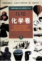 彩图中国青少年自然科学丛书 化学卷 3