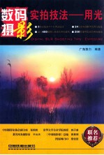 数码摄影实拍技法 用光