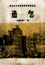 碳化法合成氨流程制碳酸氢铵 造气