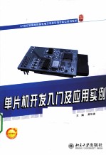 单片机开发入门及应用实例