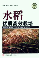 水稻优质高效栽培