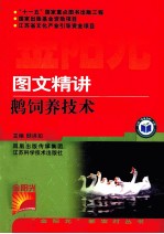 图文精讲鹅饲养技术
