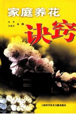 家庭养花诀窍 养花专家解密