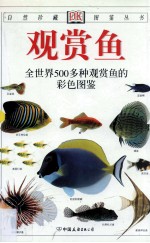 观赏鱼