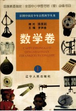 彩图中国青少年自然科学丛书 数学卷 1