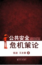 公共安全危机策论