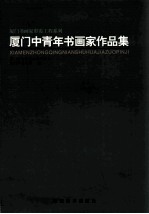 厦门中青年书画集作品集