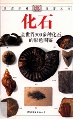 化石:全世界500多种化石的彩色图鉴