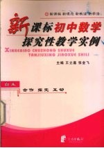 新课标初中数学探究性教学实例