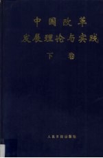 中国改革发展理论与实践 下