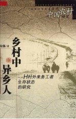 当代中国农村研究 乡村中的异乡人