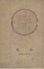 小花 短篇小说集